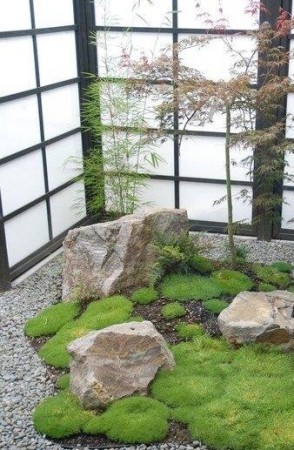 Proyecto de Jardin Para Exterior en Area Reducida