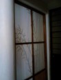/album/fotogaleria/img10328-jpg/